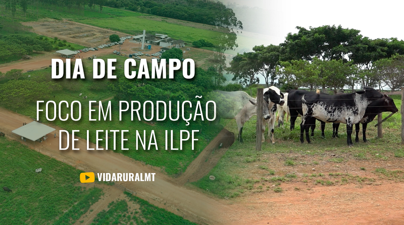 DIA DE CAMPO COM FOCO NA PRODUÇÃO DE LEITE